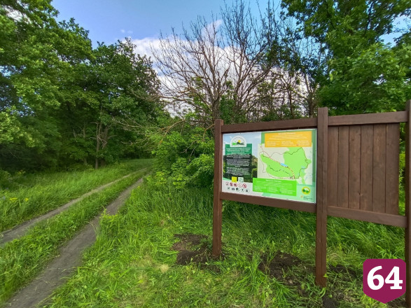 В Саратовской области открыли экотропу с красочной навигацией